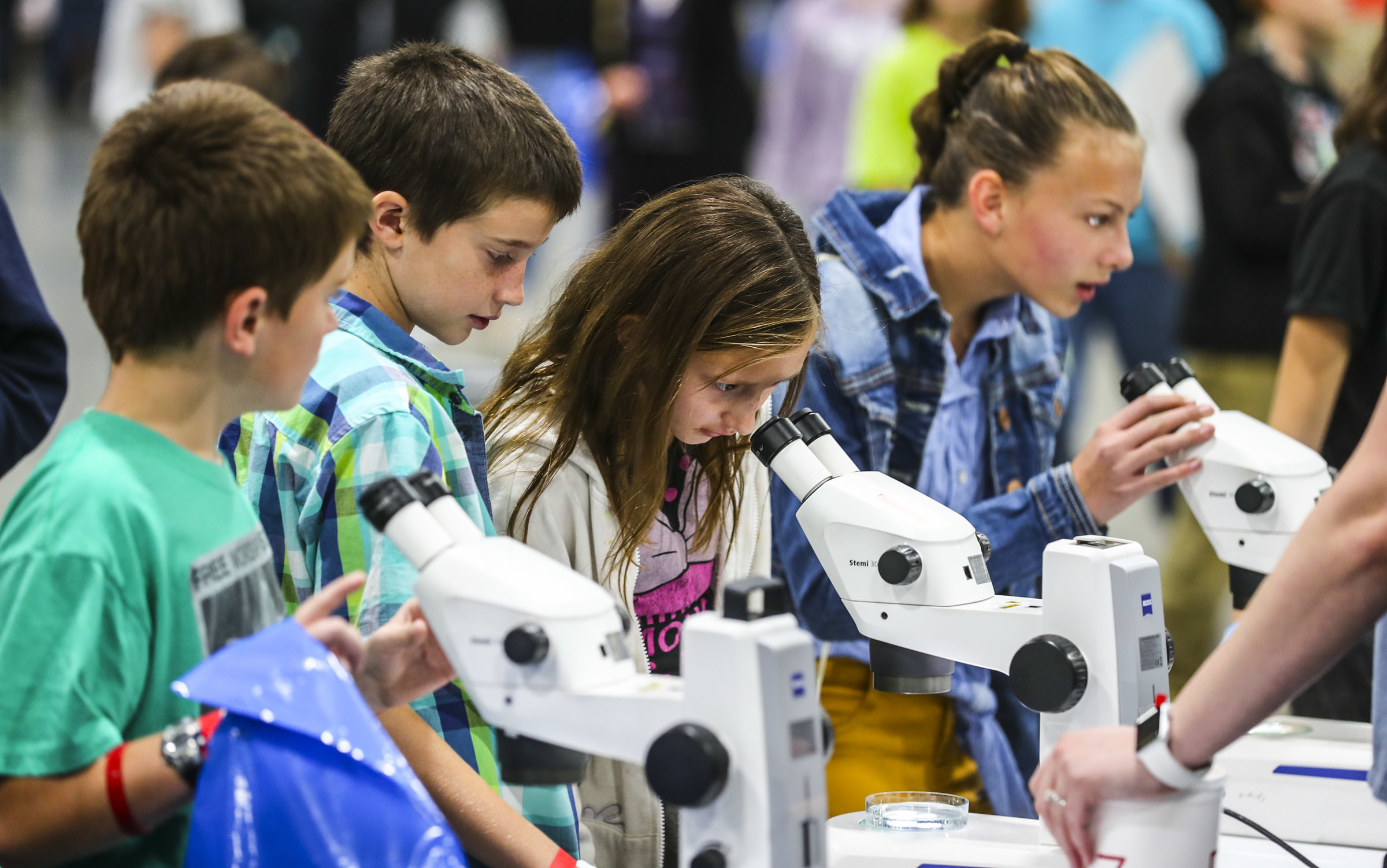 Featured image for “Fourth Annual STEM Fest a Roaring Success!”