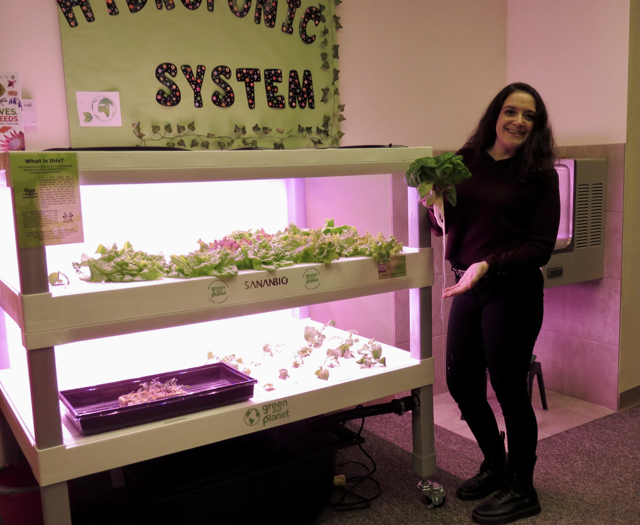 Featured image for “Learning STEM through Hydroponics”