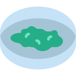 Petri Dish with green stuff