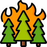 And icon of three trees with flames behind them, indicating a wilfire.
